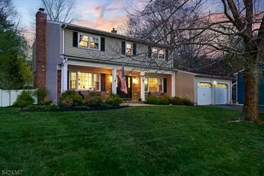 Luxury home in Roxbury, Morris County