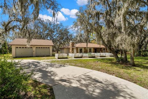 Luxury home in Riverview, Hillsborough County