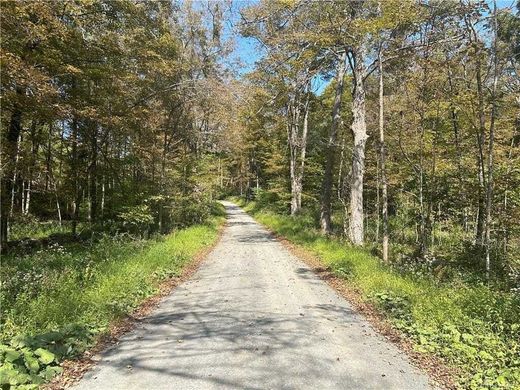 Αγροτεμάχιο σε West Falls, Erie County