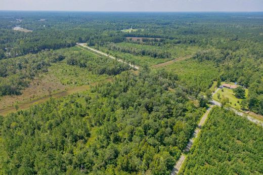 Land in Riegelwood, Columbus County