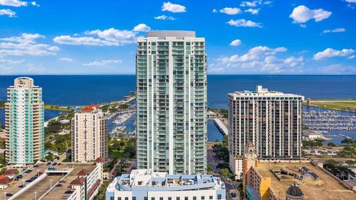 Hôtel particulier à St. Petersburg, Comté de Pinellas