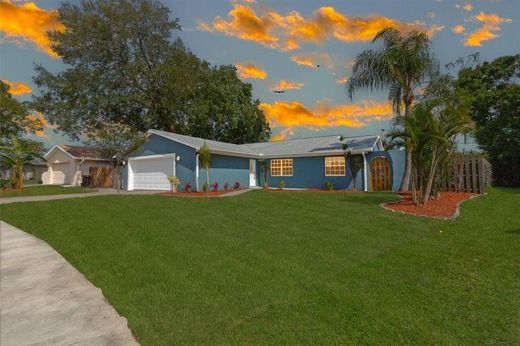 Luxus-Haus in Palm Bay, Brevard County
