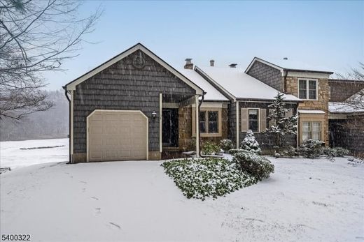 Πολυτελή κατοικία σε Allamuchy, Warren County