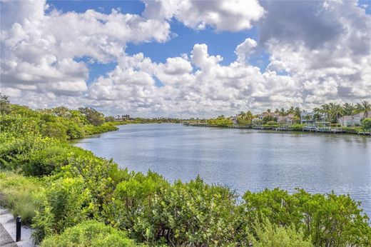 타운 하우스 / Longboat Key, Manatee County