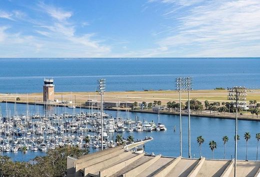 Hôtel particulier à St. Petersburg, Comté de Pinellas