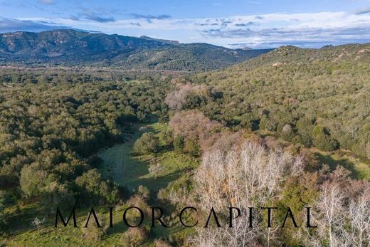 Teren w Padru, Provincia di Sassari