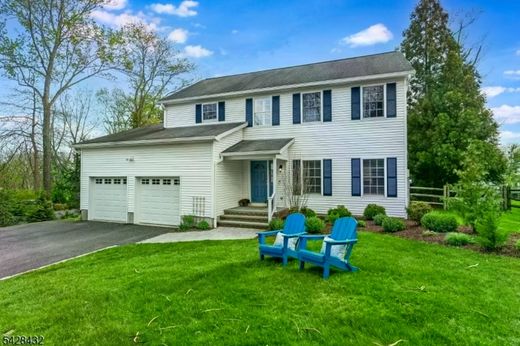 Luxury home in Bedminster, Somerset County