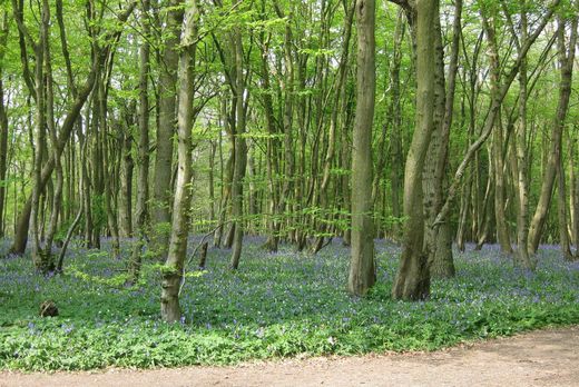 Grundstück in Sag Harbor, Suffolk County