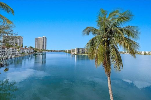 호화 저택 / Aventura, Miami-Dade County