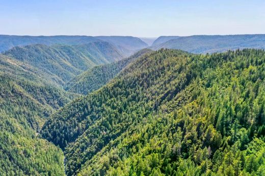Arsa Emigrant Gap, Placer County