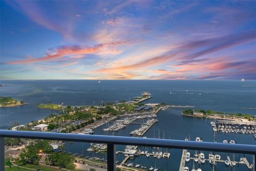 St. Petersburg, Pinellas Countyのタウンハウス