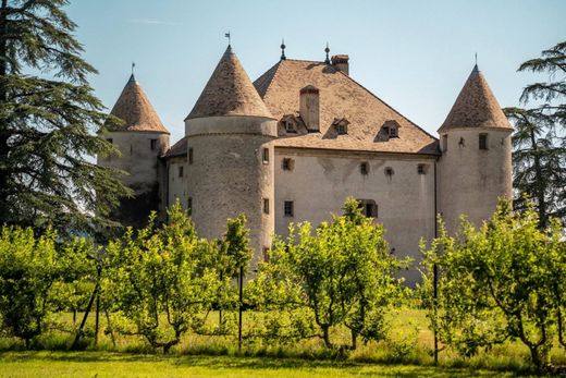 Luksusowy dom w Ainay-le-Château, Allier