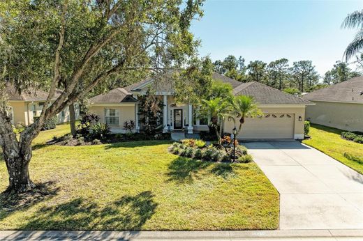 Lüks ev Lakewood Ranch, Manatee County