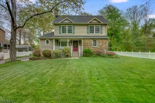 Luxury home in Long Hill, Morris County