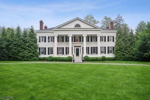 Luxus-Haus in Morristown, Morris County