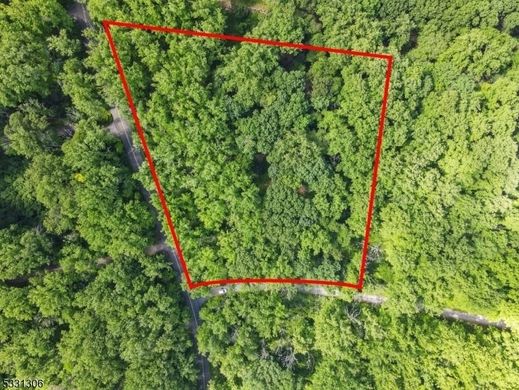 토지 / Bernardsville, Somerset County