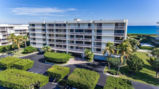 ﺷﻘﺔ ﻓﻲ Palm Beach, Palm Beach County