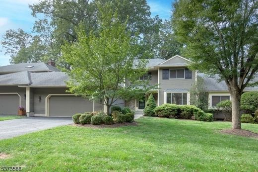 호화 저택 / Tewksbury, 뉴저지 주