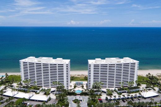 Элитный дом, Boca Raton, Palm Beach County