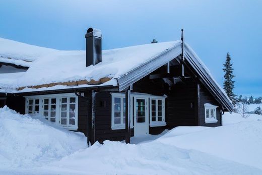 Maison de luxe à Bruflat, Etnedal