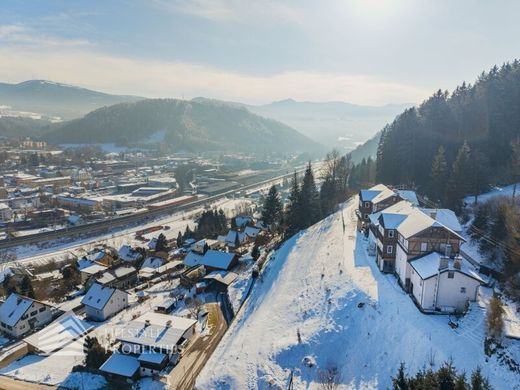 Hotel in Mürzzuschlag, Politischer Bezirk Bruck-Mürzzuschlag