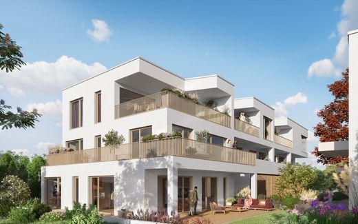 Daire Graz, Graz Stadt