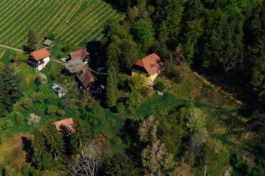 Luxury home in Gamlitz, Leibnitz