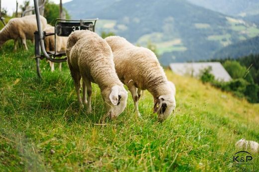 豪宅  Treffen, Politischer Bezirk Villach Land