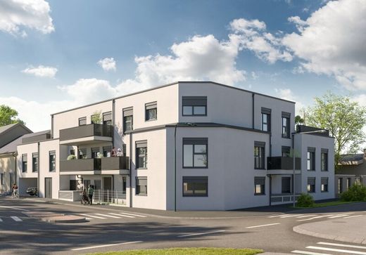Daire Brunn am Gebirge, Politischer Bezirk Mödling