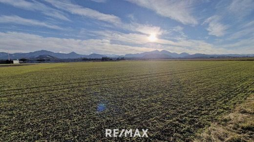 Land in Kühnsdorf, Politischer Bezirk Völkermarkt