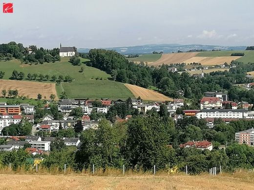Arsa Bad Schallerbach, Politischer Bezirk Grieskirchen