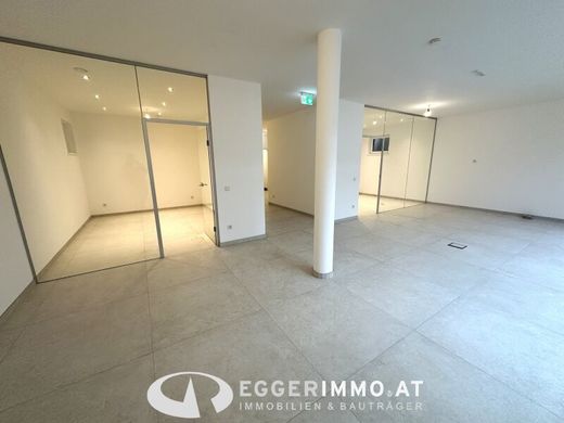 Bureau à Mittersill, Politischer Bezirk Zell am See