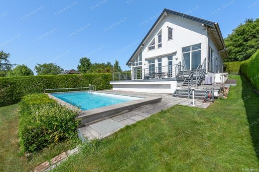 Villa Hagenbrunn, Politischer Bezirk Korneuburg