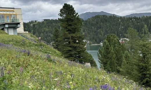 Grond in Turracherhöhe, Politischer Bezirk Feldkirchen