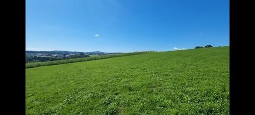 Grond in Bodendorf, Politischer Bezirk Perg