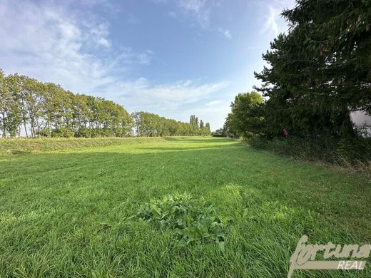 Terreno - Königstetten, Politischer Bezirk Tulln