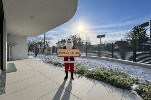 Daire Viyana, Wien Stadt