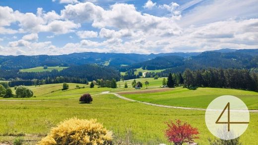 Luxe woning in Schönbach, Politischer Bezirk Zwettl