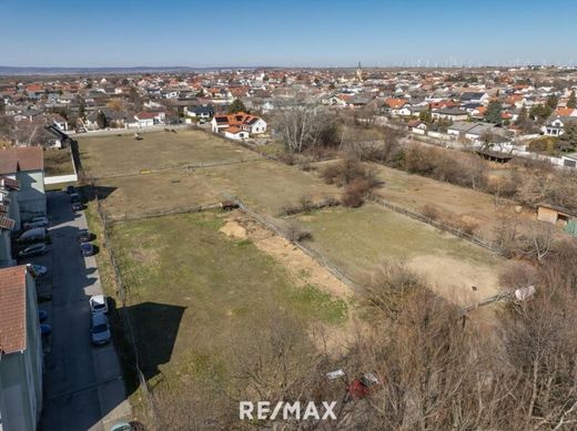 Land in Gols, Politischer Bezirk Neusiedl am See