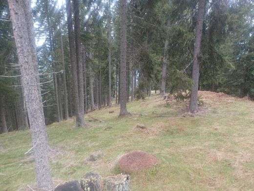 Land in Verditz, Politischer Bezirk Villach Land