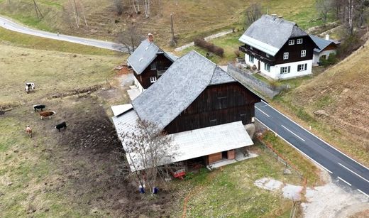 Farm in Arriach, Politischer Bezirk Villach Land