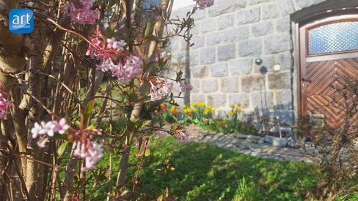 Luxus-Haus in Ried im Innkreis, Politischer Bezirk Ried im Innkreis