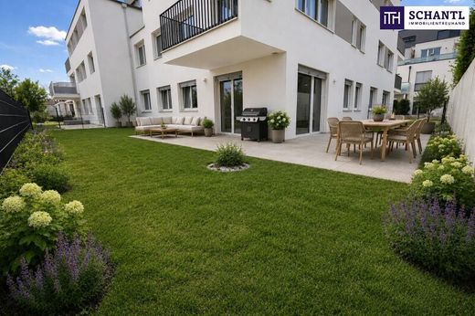 Apartment in Schwechat, Politischer Bezirk Bruck an der Leitha