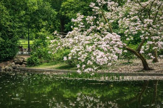 Квартира, Вена, Wien Stadt