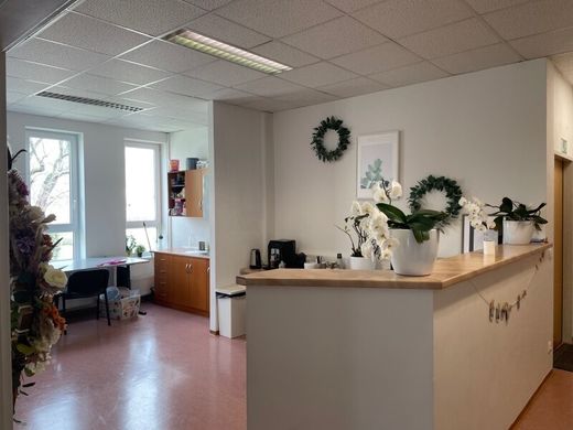 Office in Vienna, Wien Stadt