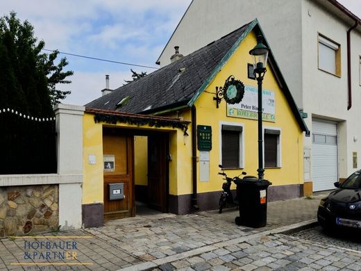 Luxus-Haus in Wien, Wien Stadt
