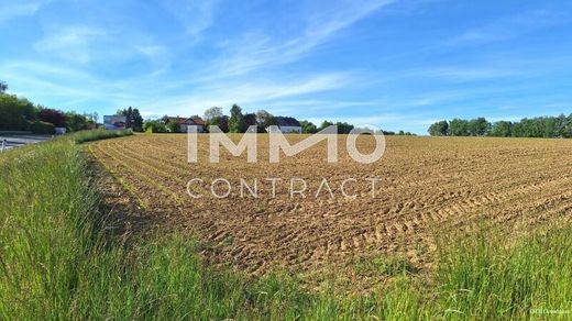 Grond in Landfriedstetten, Politischer Bezirk Melk