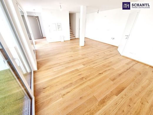 Luxury home in Vienna, Wien Stadt