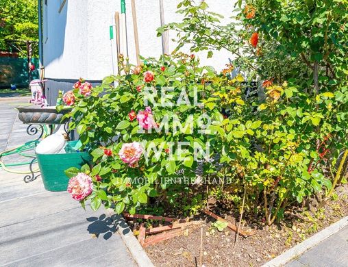 Luxus-Haus in Wien, Wien Stadt