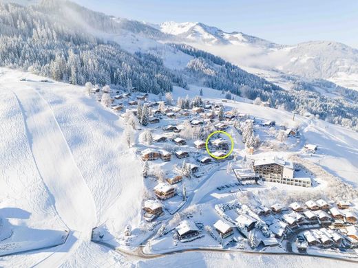 Maria Alm am Steinernen Meer, Politischer Bezirk Zell am Seeの高級住宅